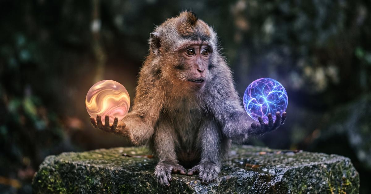 Monkey holding two glowing orbs representing competing ideas — shiny ball syndrome and the inability to choose one focus